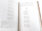 an open book with a picture of a cat on it
