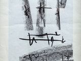 an image of a black and white drawing with writing on it