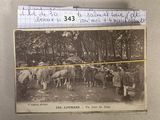 une vieille photo en noir et blanc représentant un groupe de personnes avec des chevaux