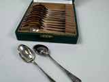 silverware in a green box with a white napkin and a silver spoon
