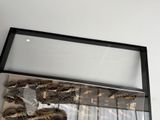 a display case with a variety of insects in it