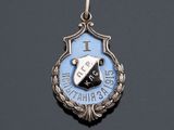 a close up of a silver and blue badge on a black surface