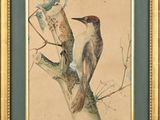 tableau représentant un pic perché sur une branche d'arbre, avec un autre oiseau perché sur cette même branche