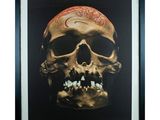 une image représentant un crâne avec un cerveau sur la tête