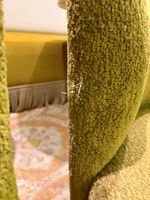 2 Petits fauteuils MOBITEC, cumin, assise tournante, petits … (photo 5)