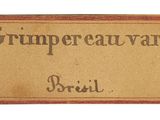 Photo 3/4 du lot
