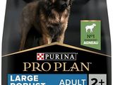 purina pro plan adult large breed adult sensitive digest dry dog food