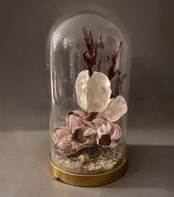 une cloche en verre contenant des fleurs