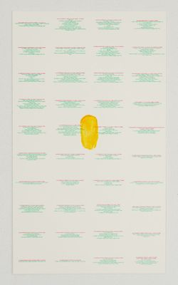an image of a piece of paper with a yellow piece of fruit on it