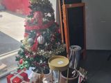 a small christmas tree in the corner of a room next to a window