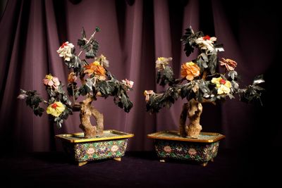 two bonsais that are sitting on a table