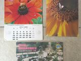 trois calendriers posés sur une table, avec une image représentant une fleur et un papillon