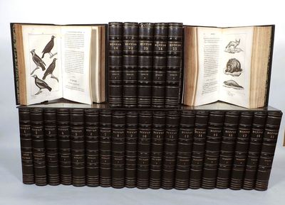 Buffon - Œuvres Complètes en 26 Volumes - Photo 1