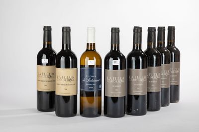 six bouteilles de vin sont alignées sur une surface blanche