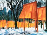 Photo 1/1 du lot