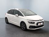 Photo 7/24 du lot
