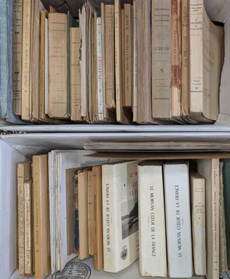 many books on the shelves in the room