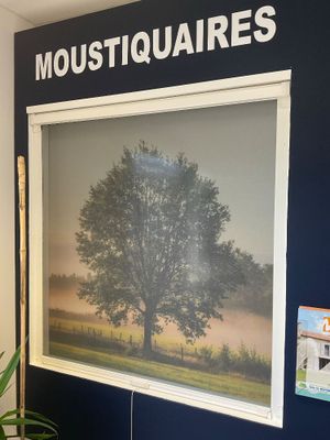 une photo d'un arbre dans un coin d'une pièce
