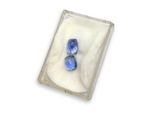 a small glass plate with two blue flowers in it
