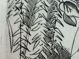 a black and white drawing of a plant with leaves