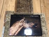 a picture of a picture of a horse on the floor
