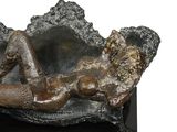 a bronze statue of a woman laying on a shell