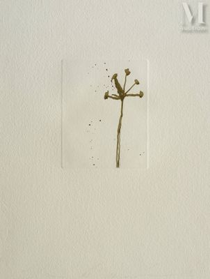 a picture of a bird sitting on top of a tree