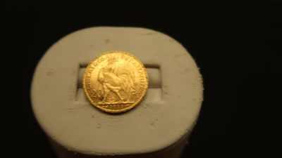 an image of a gold coin sitting on top of a white ring