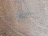 a cat that is sitting on a wooden table