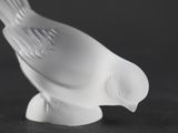 a white bird that is sitting on top of a table