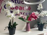 trois vases de fleurs posés sur une table devant un panneau