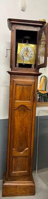 une grande horloge de parquet en bois, dans un coin de la pièce