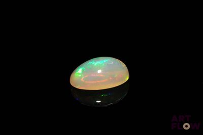 l'image d'un oplite blanc dans l'obscurité