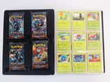 a lot of pokemon cards in a black case
