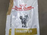 Royal Canin Urinary S/O – Aliments pour chats à apport calorique modéré