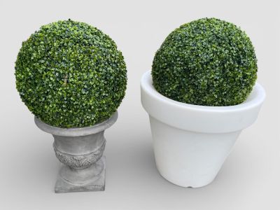 LOT de 2 pots, un en résine , l'autre en plastique contenant un buisso - Photo 1