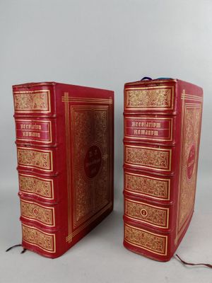paire de livres anciens en cuir rouge avec des bordures dorées