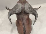 an image of a goat ' s back with large horns sitting on a white surface