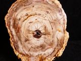 a piece of wood that has been cut in half