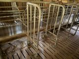 many cows in a barn that are being milked