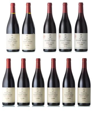 un lot de bouteilles de vin rouge alignées les unes à côté des autres
