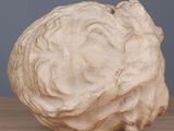 a white sculpture of a head of cabbage on a table