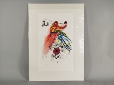 une photo d'un tableau représentant un oiseau sur fond blanc