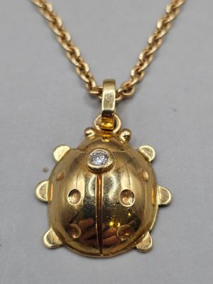 une photo d'un pendentif en forme de coccinelle suspendu à une chaîne en or