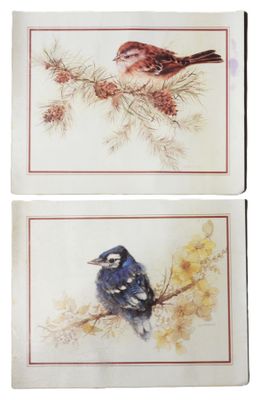 two paintings of birds sitting on a tree branch with pine cones