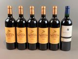 six bouteilles de vin alignées sur une table