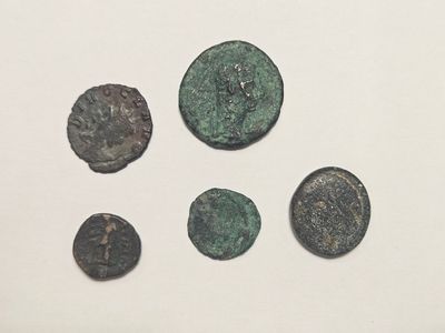 5 pièces à patine antique en bronze.