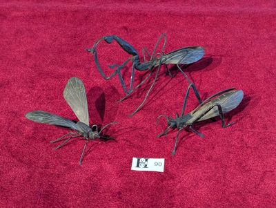 trois petits insectes posés sur un tissu rouge