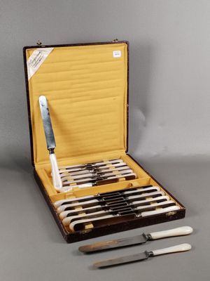 a case with a set of knives and a knife sharper