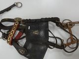 a belt that has a cell phone attached to it